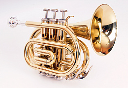 Conductor FLT-PT-L Труба компактная, Bb-key, лакированная, цвет - золото