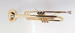 Conductor FLT-TR-3 Труба